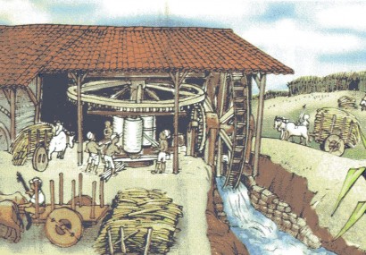 A cana-de-açúcar foi a primeira cultura