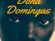 Biografia de dona Domingas - Prefácio Padre Roberto  